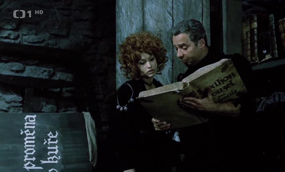 ほうきに乗った女の子の画像