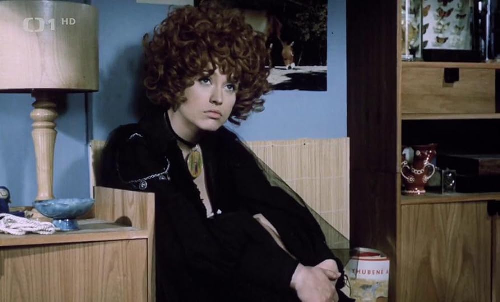 ほうきに乗った女の子の画像