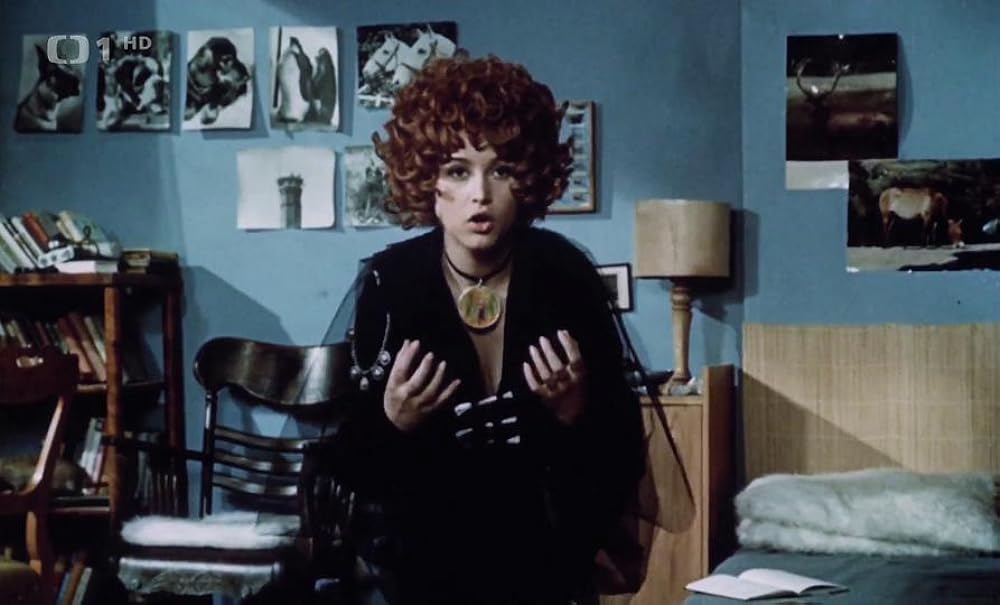 ほうきに乗った女の子の画像