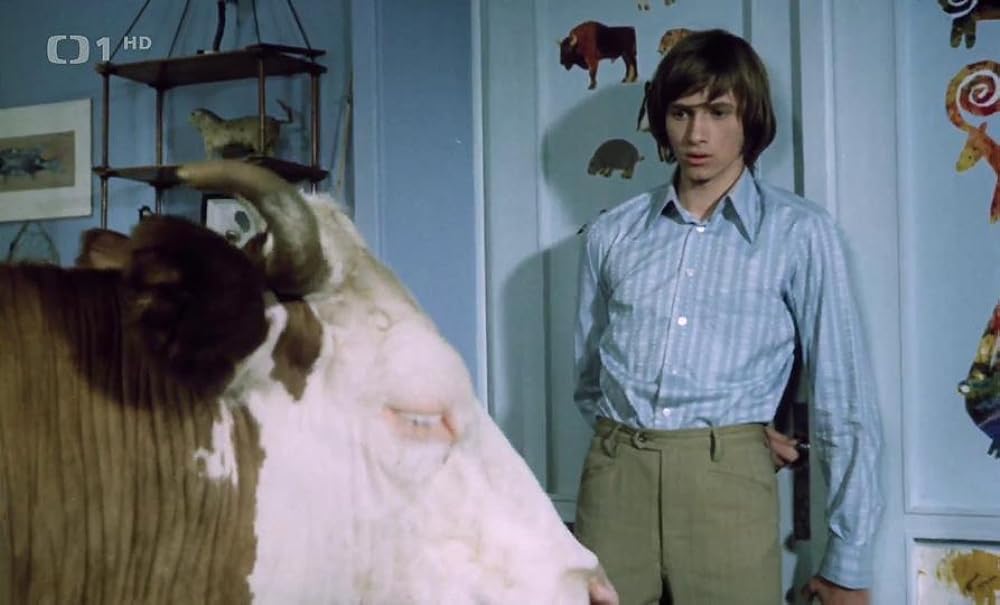 ほうきに乗った女の子の画像