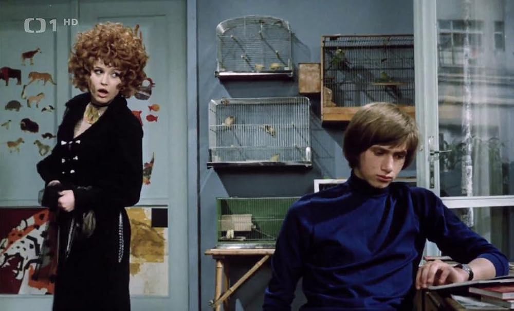 ほうきに乗った女の子の画像