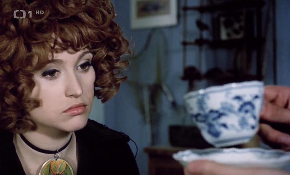 ほうきに乗った女の子の画像