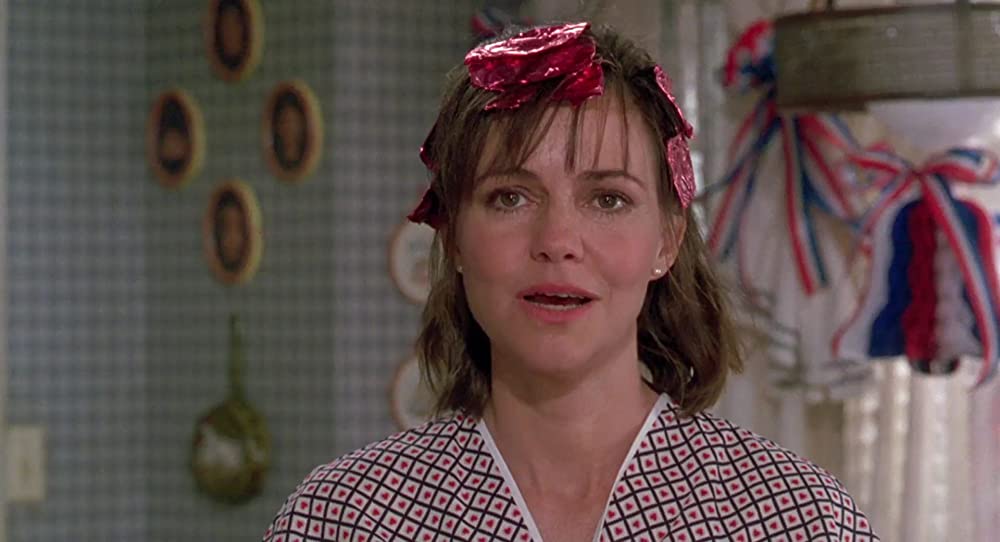 マグノリアの花たち／スティール・マグノリアの画像