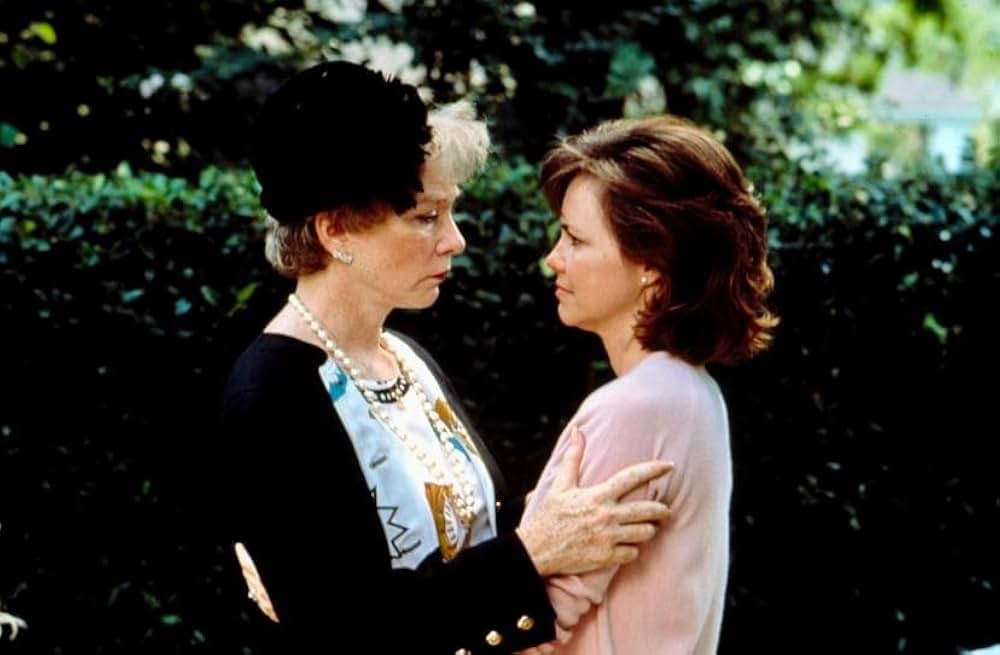 マグノリアの花たち／スティール・マグノリアの画像