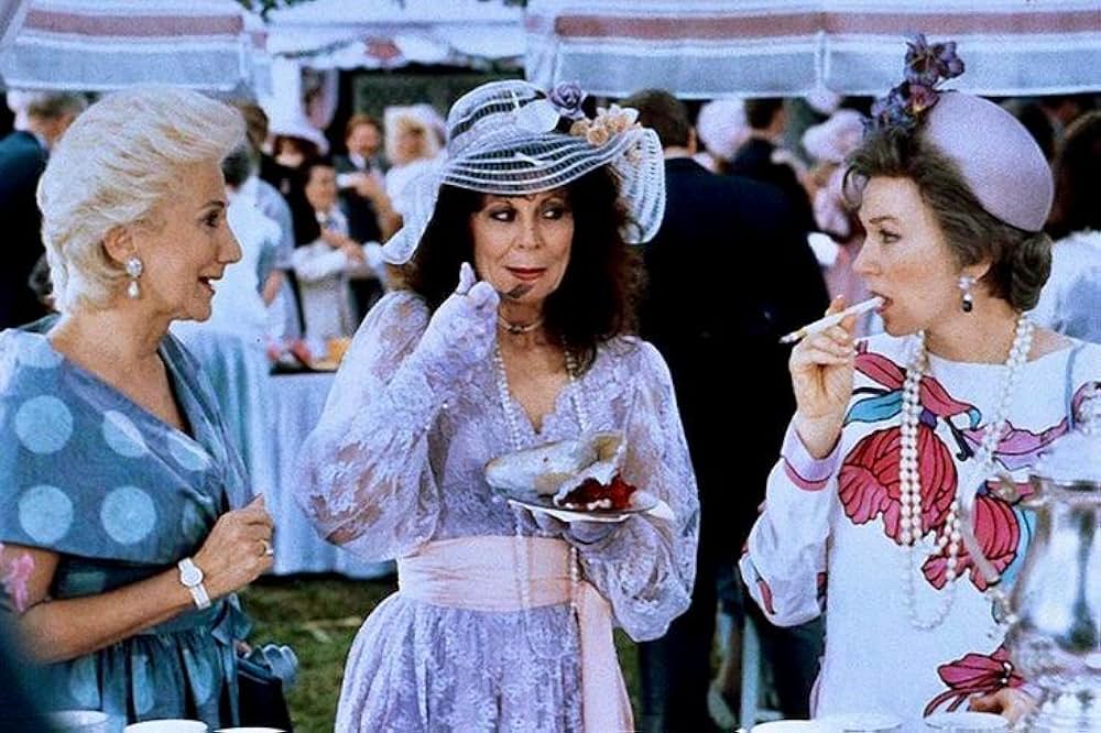 マグノリアの花たち／スティール・マグノリアの画像