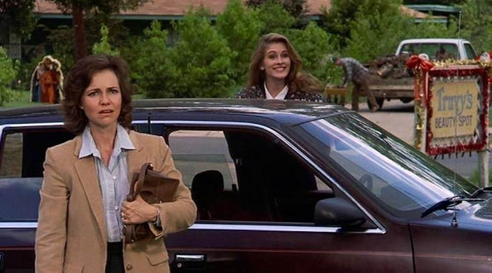 マグノリアの花たち／スティール・マグノリアの画像