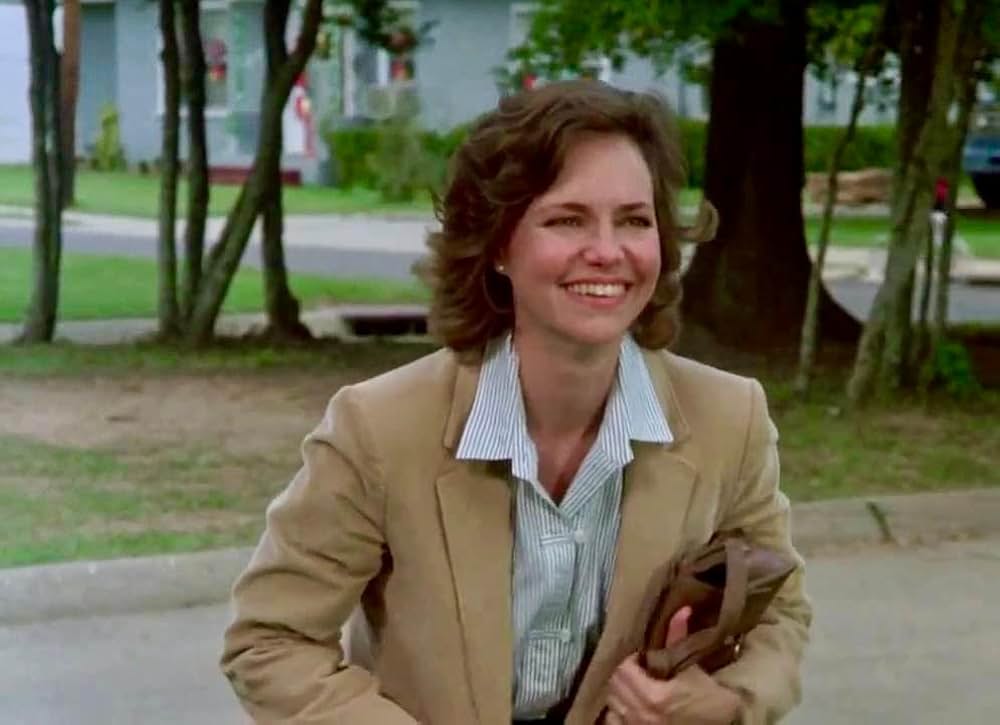 マグノリアの花たち／スティール・マグノリアの画像