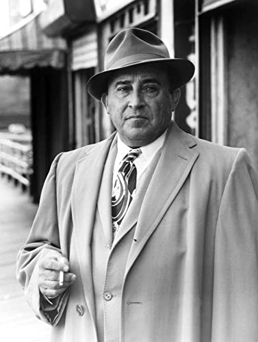 「敵、ある愛の物語」ポール・マザースキーの画像