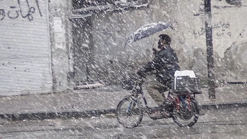 リトル・パレスティナの画像