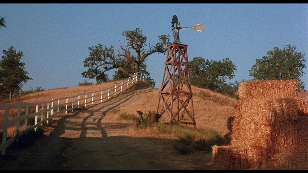 クリッターの画像