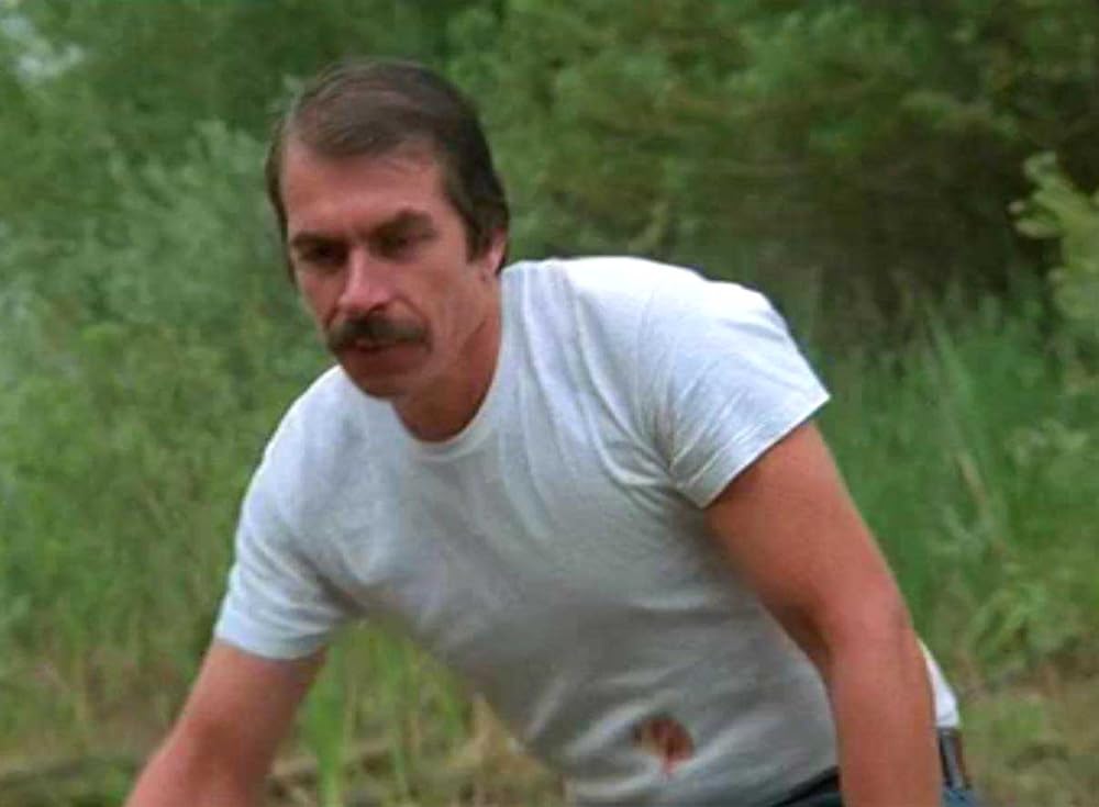 アリゲーターの画像