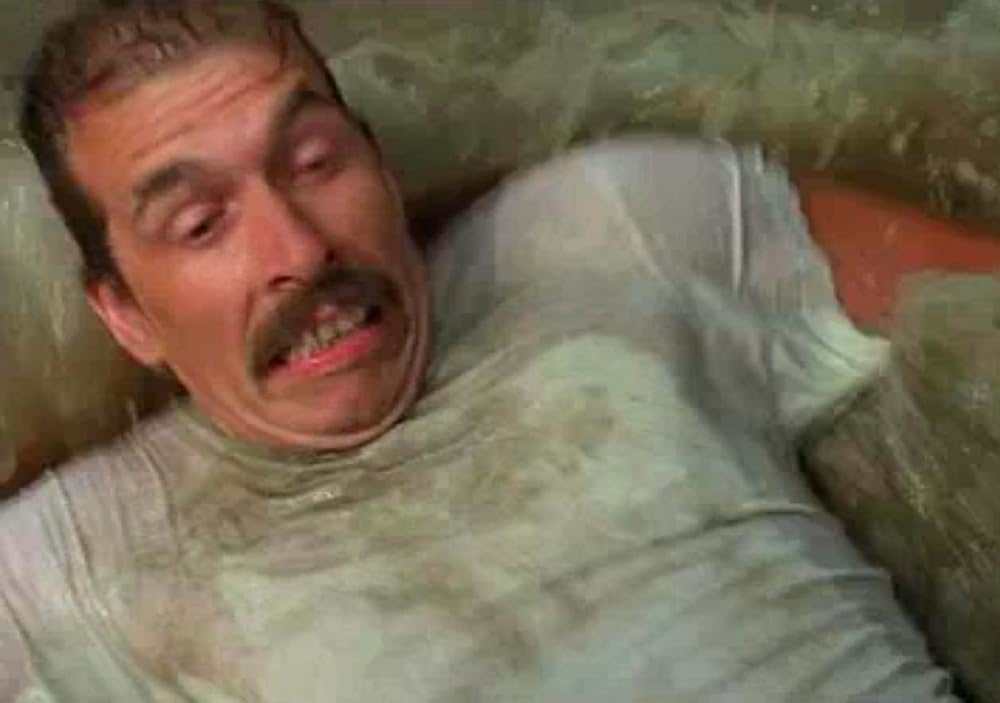 アリゲーターの画像