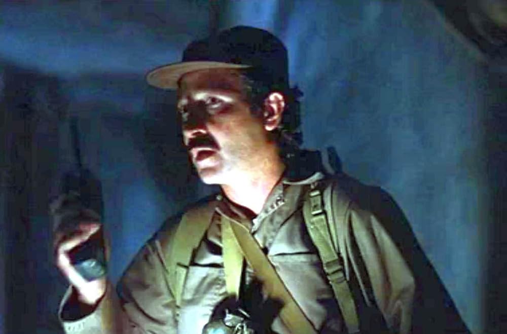 アリゲーターの画像