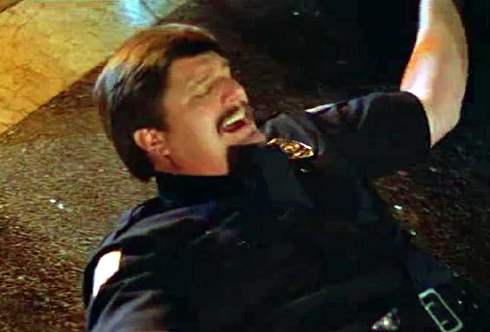 アリゲーターの画像