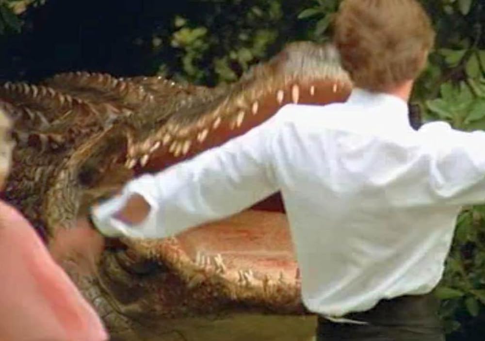 アリゲーターの画像