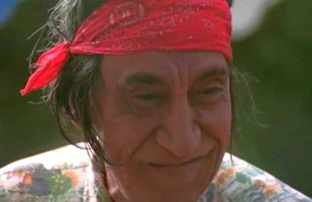 アリゲーターの画像