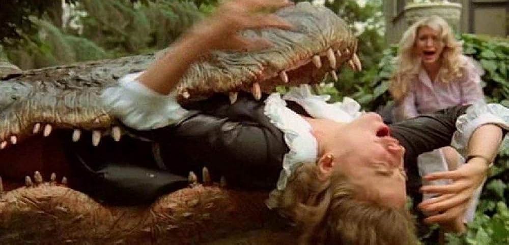 アリゲーターの画像