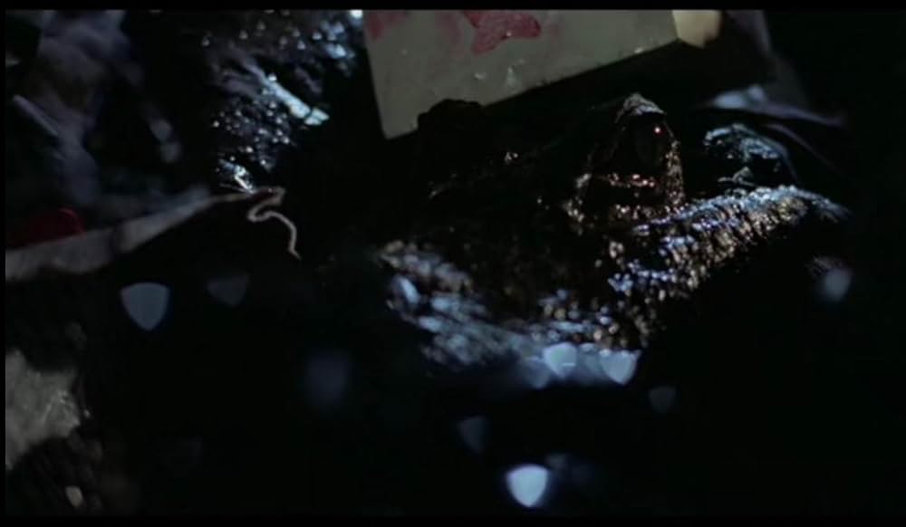 アリゲーターの画像