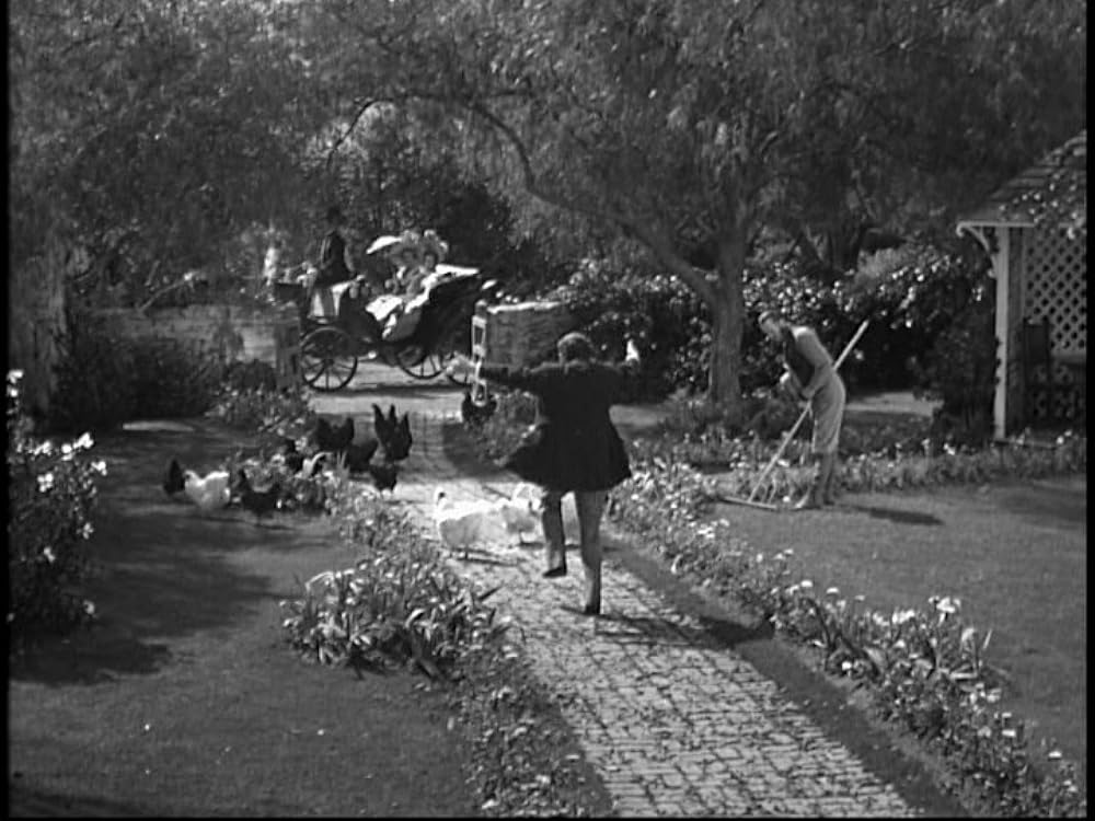 高慢と偏見の画像