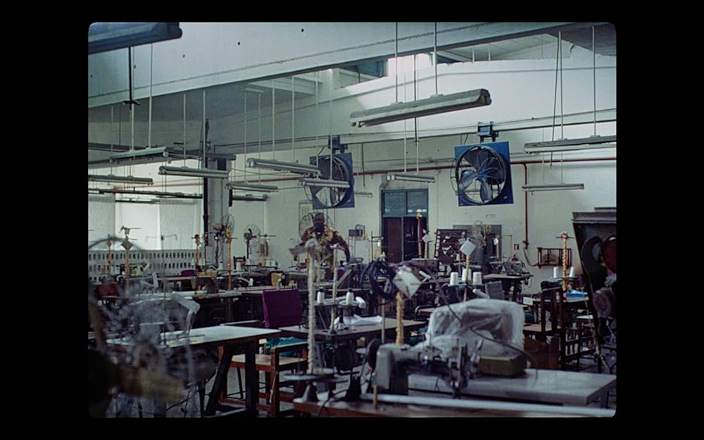 Guava Islandの画像