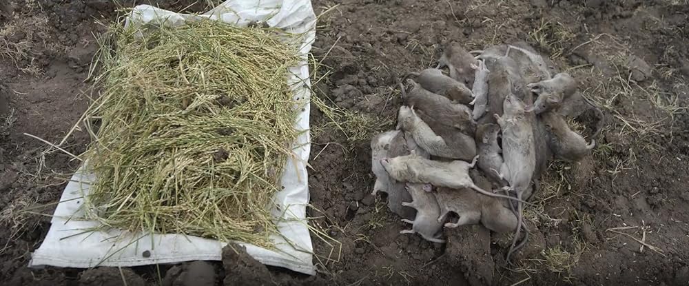 ジャイ・ビーム -万歳ビームラーオ／ジャイ・ビームの画像