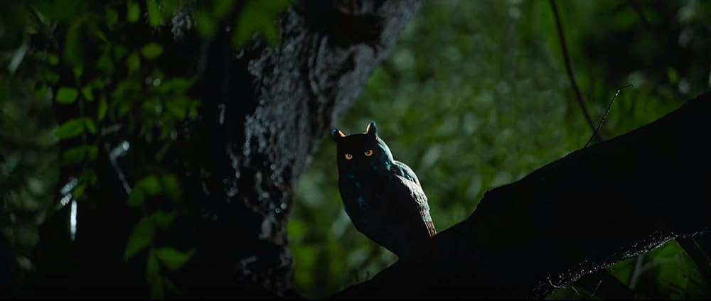 ジャイ・ビーム -万歳ビームラーオ／ジャイ・ビームの画像