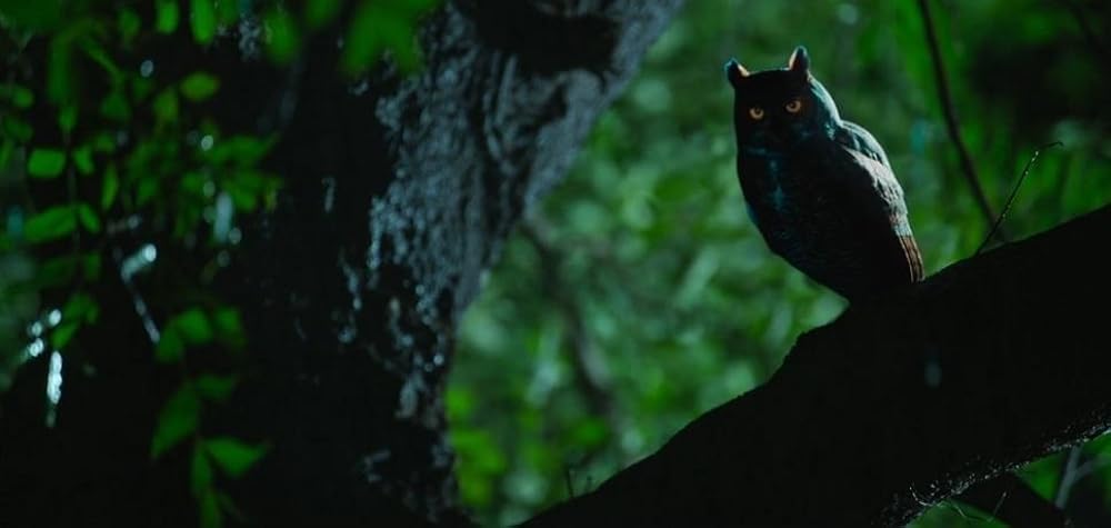 ジャイ・ビーム -万歳ビームラーオ／ジャイ・ビームの画像