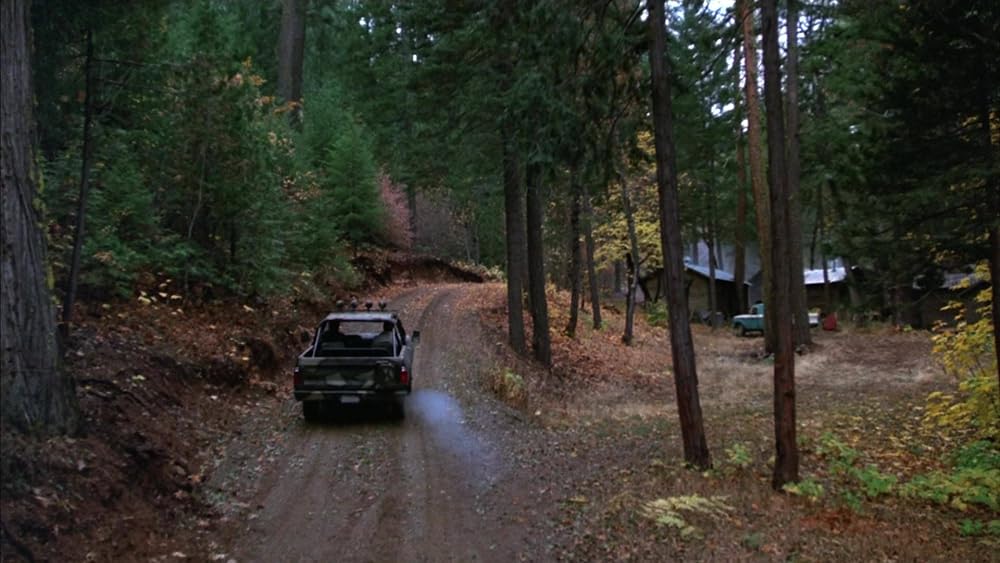 ピンク・キャデラックの画像