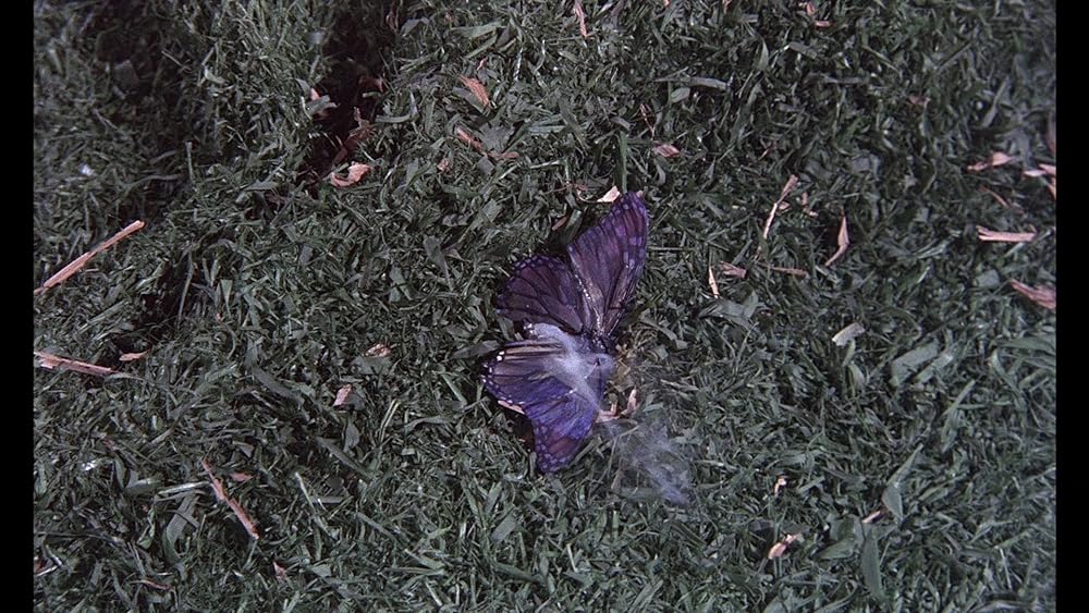 恐怖の夜の画像