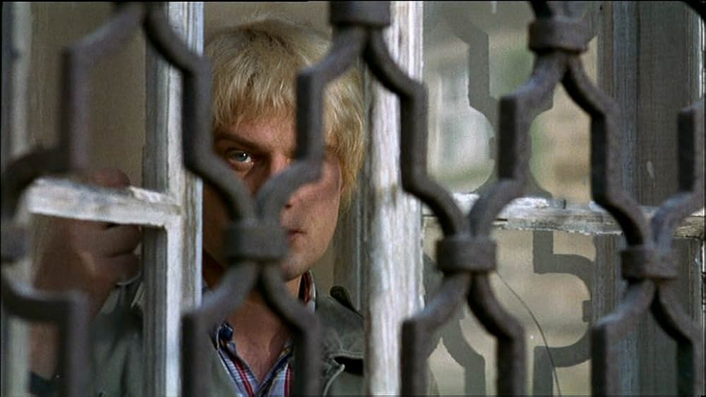 シナのルーレットの画像