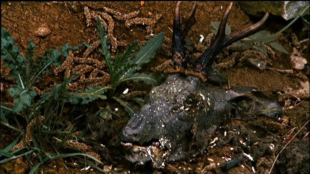 シナのルーレットの画像