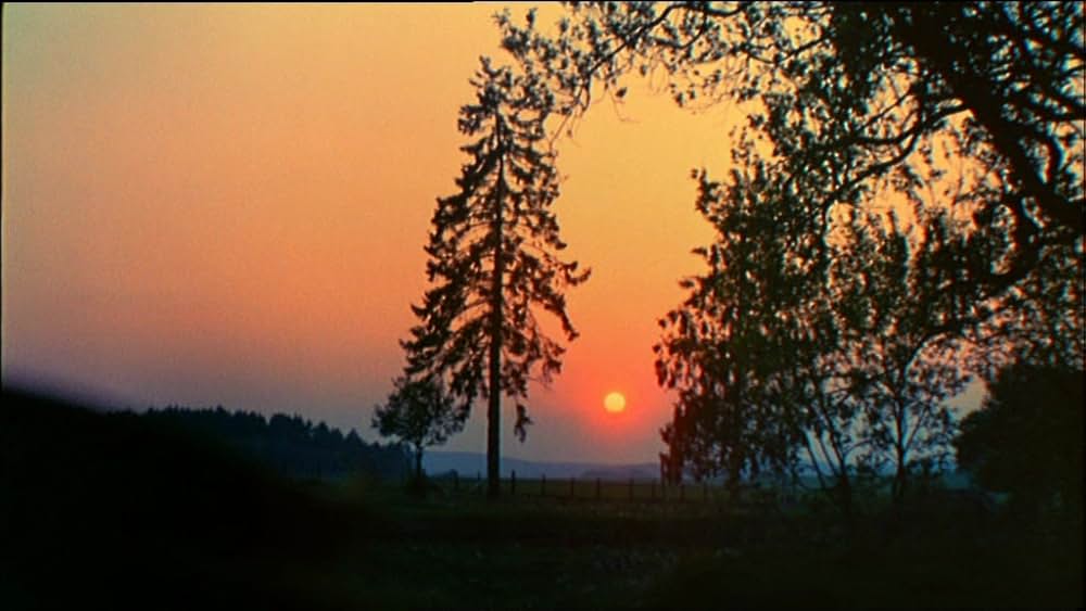 シナのルーレットの画像