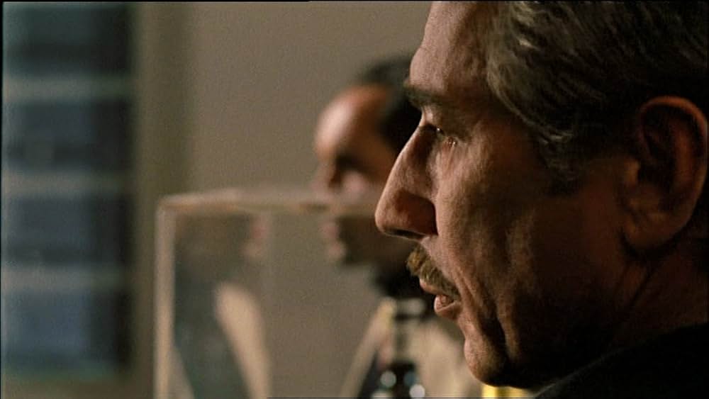 シナのルーレットの画像