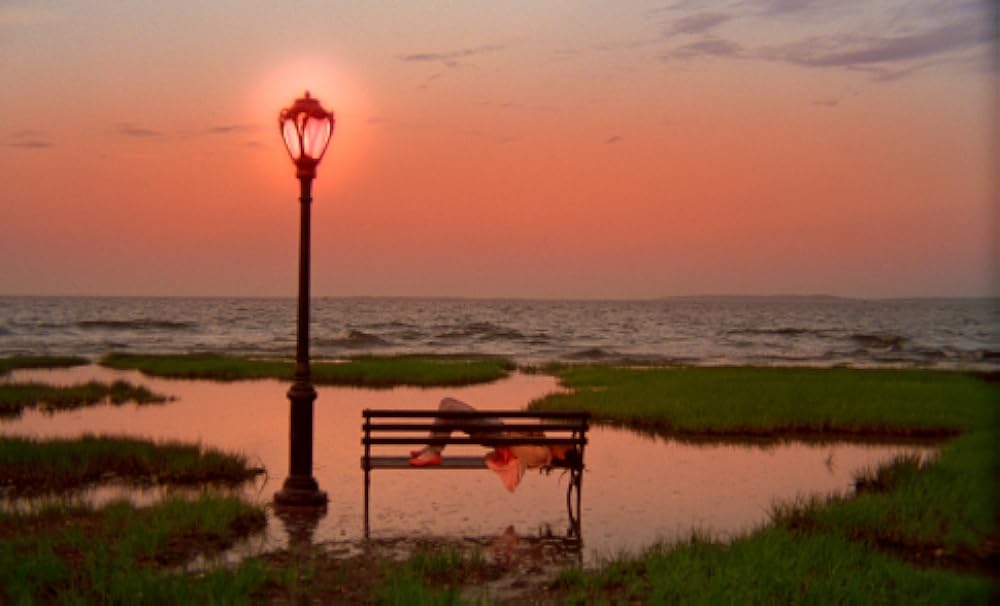 ショートバスの画像