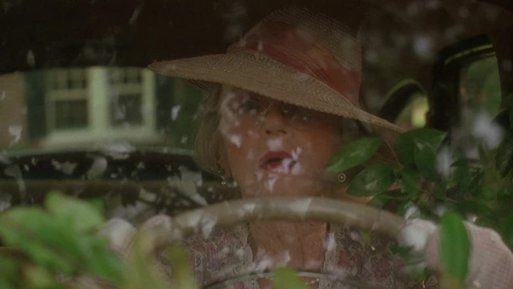 ドライビング Miss デイジーの画像