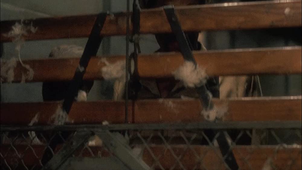 ドライビング Miss デイジーの画像