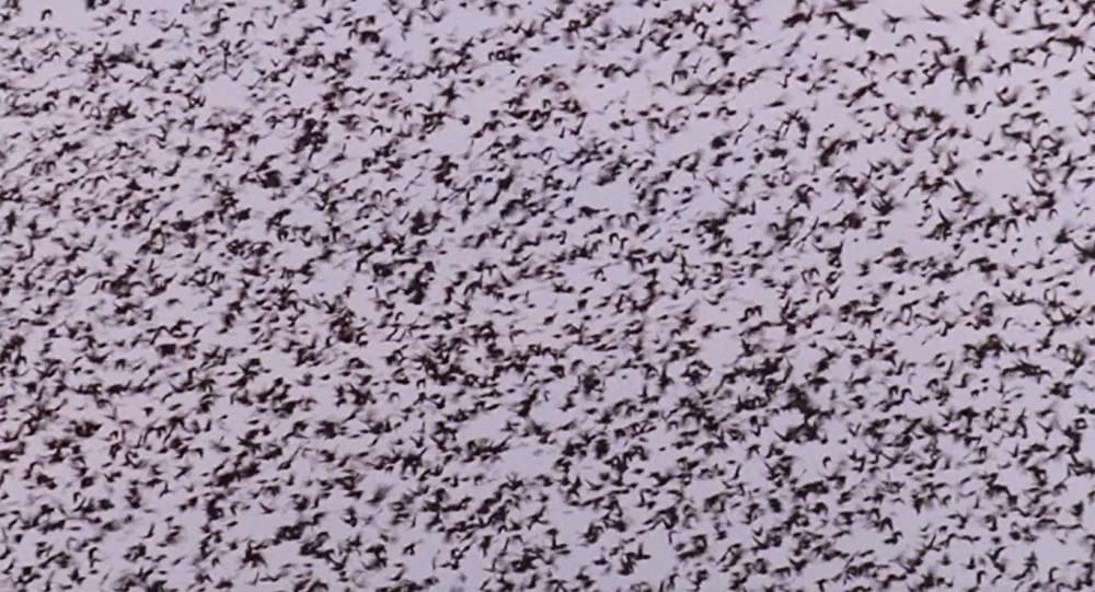 いまを生きるの画像