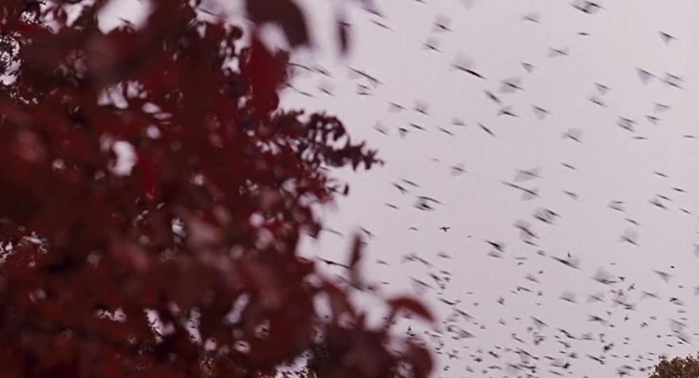 いまを生きるの画像