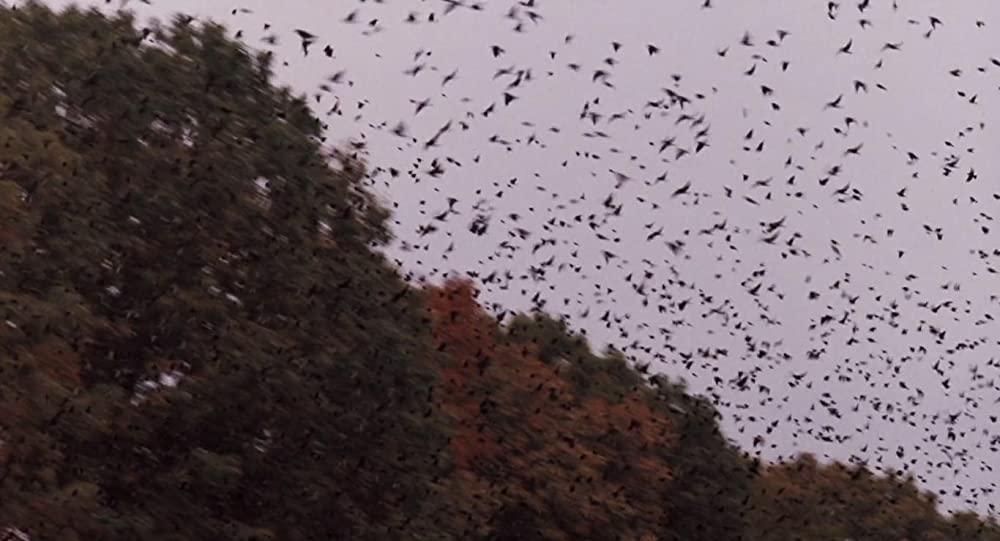 いまを生きるの画像