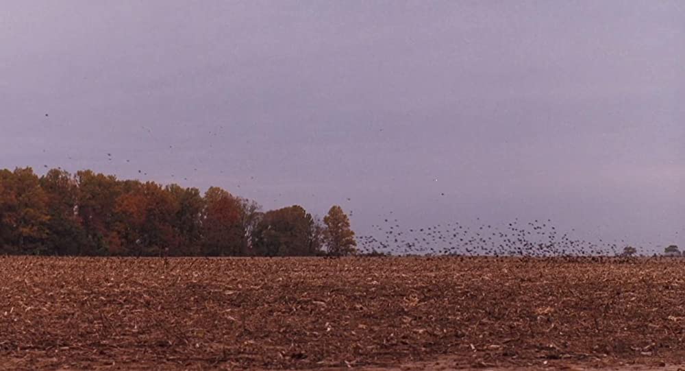 いまを生きるの画像