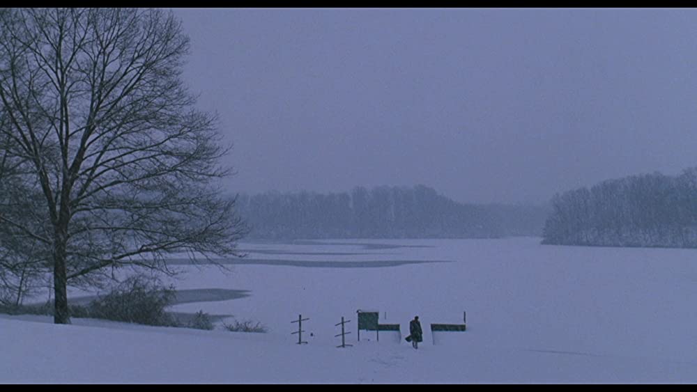 いまを生きるの画像