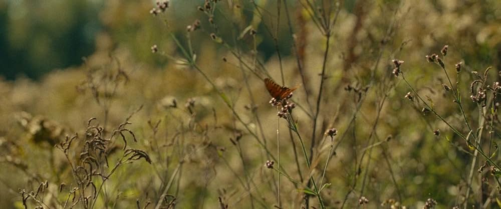 オール・ダート・ロード・テイスト・オブ・ソルトの画像