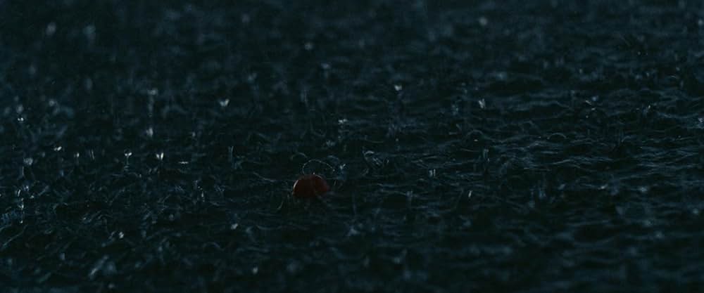 オール・ダート・ロード・テイスト・オブ・ソルトの画像