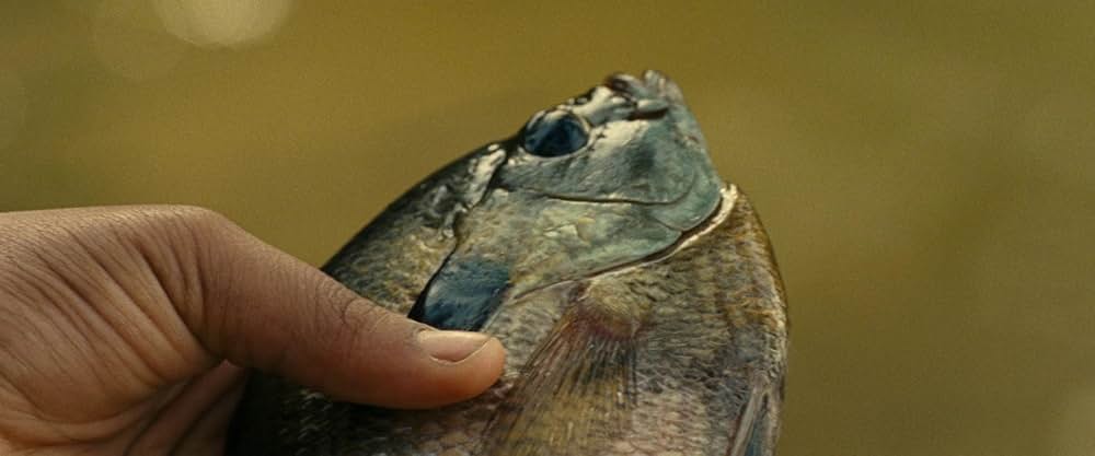 オール・ダート・ロード・テイスト・オブ・ソルトの画像