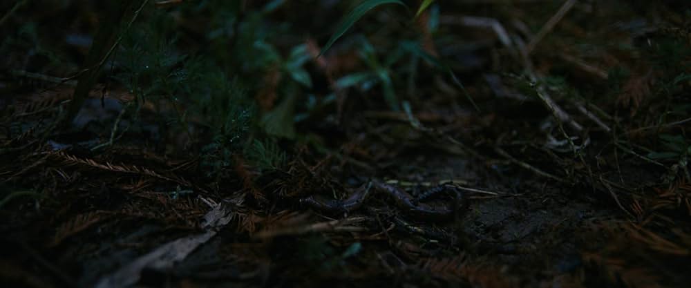 オール・ダート・ロード・テイスト・オブ・ソルトの画像