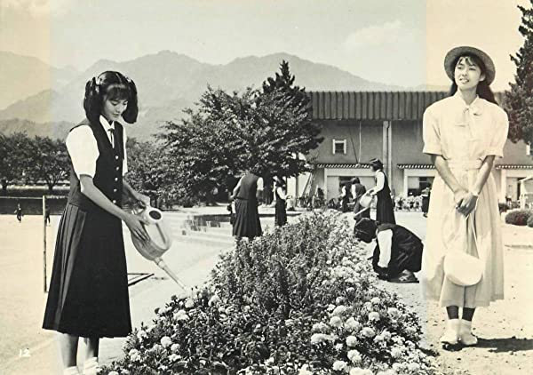 ラブ・ストーリーを君にの画像