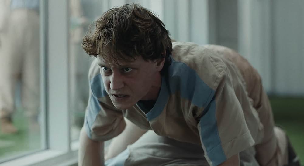 WOLF ウルフの画像