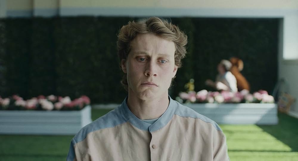 WOLF ウルフの画像