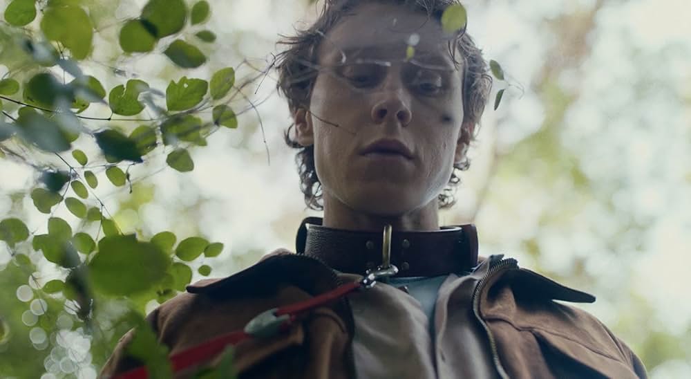 WOLF ウルフの画像