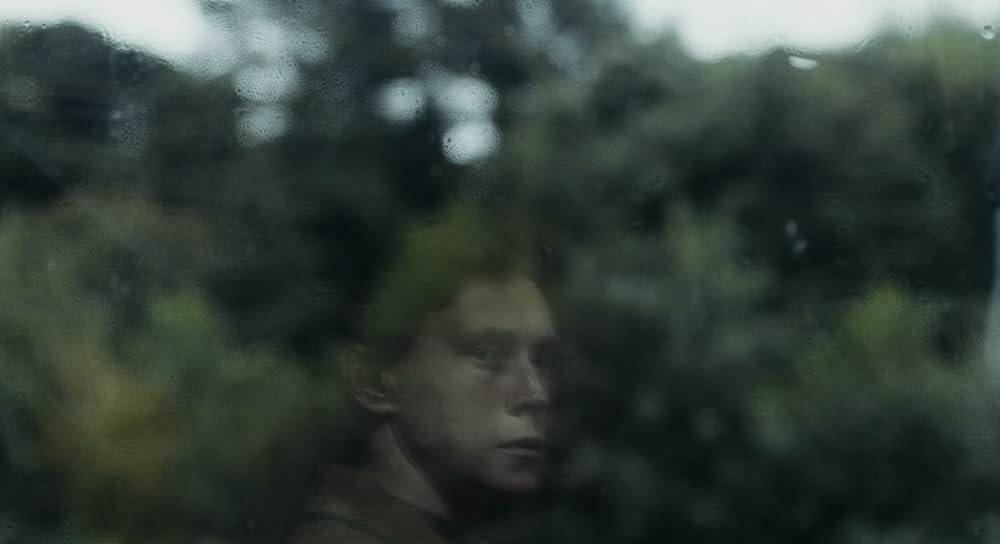 WOLF ウルフの画像